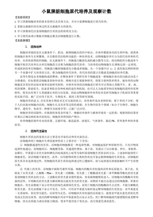 小鼠脾脏细胞原代培养及观察计数实验报告-山东大学