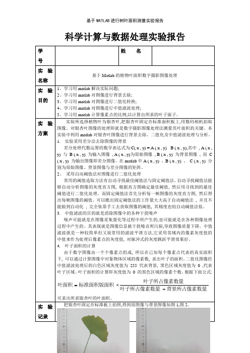 基于MATLAB进行树叶面积测量实验报告