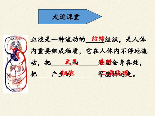 苏教版初中生物七年级下册课件-4.10.2 人体的血液循环5