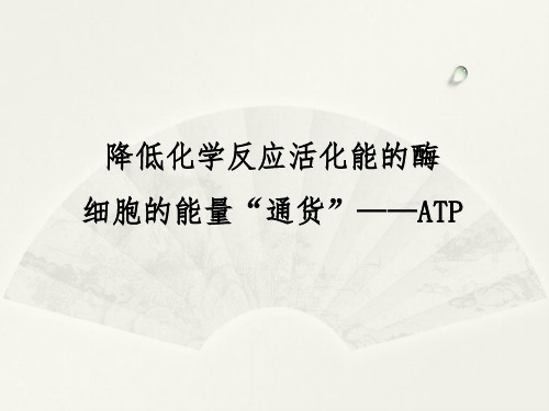 高三生物一轮复习——酶与ATP(26页)