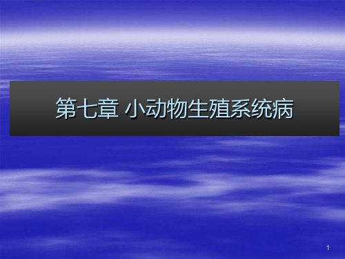 第七章  小动物的普通病(生殖系统疾病)PPT课件