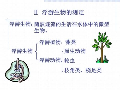 浮游生物的测定