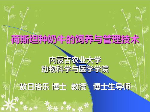 奶牛饲养与管理技术奶牛协会年度会议讲幻灯片PPT