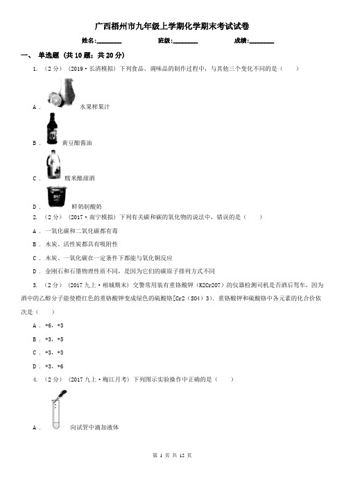 广西梧州市九年级上学期化学期末考试试卷