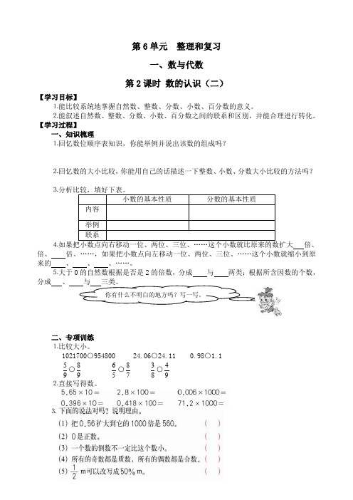 人教版六年级数学下册《数的认识(二)》精品教案