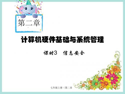 第二章(课时3)信息安全 课件