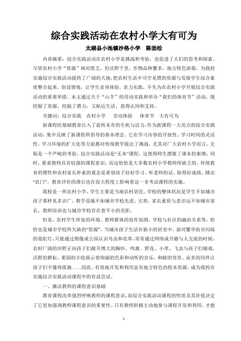 综合实践活动在农村小学大有可为