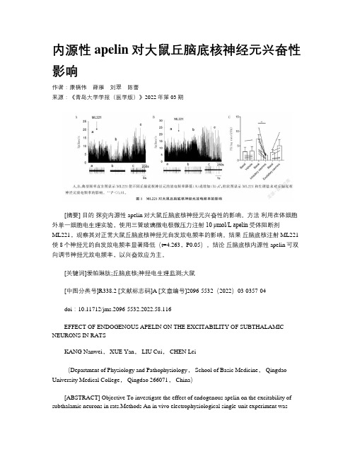 内源性apelin对大鼠丘脑底核神经元兴奋性影响