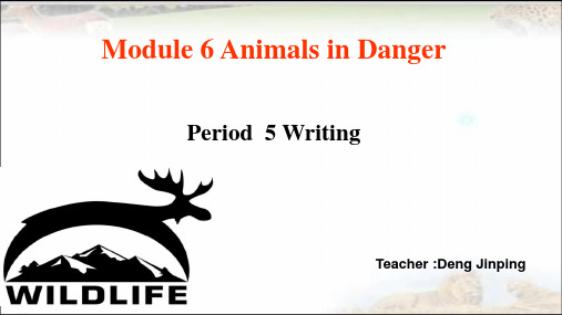 高中英语Module 6 Animals in Danger 优秀课件1