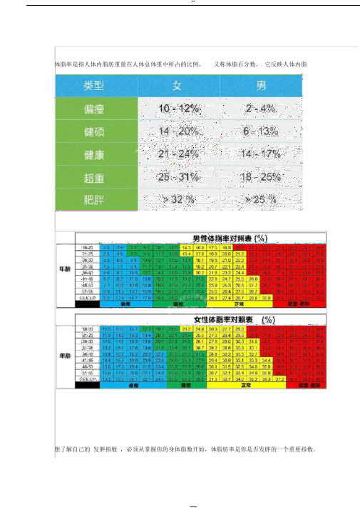 测测你的体脂率附男女标准体脂率对照表