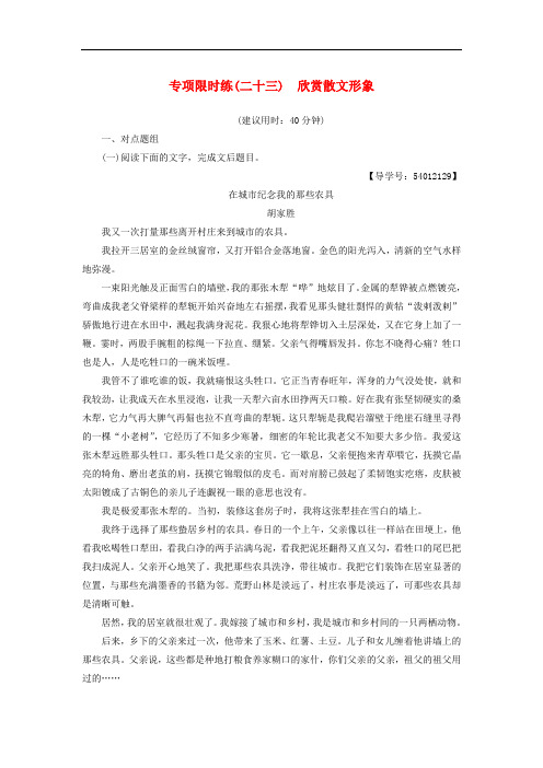 江苏省高考语文大一轮复习 专项限时练23 欣赏散文形象