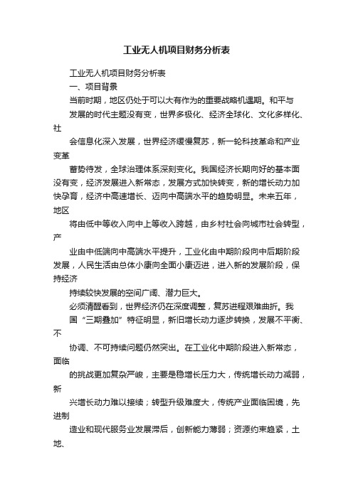 工业无人机项目财务分析表