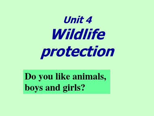 Unit4 wildlife protection 公开课一等奖课件 高中英语