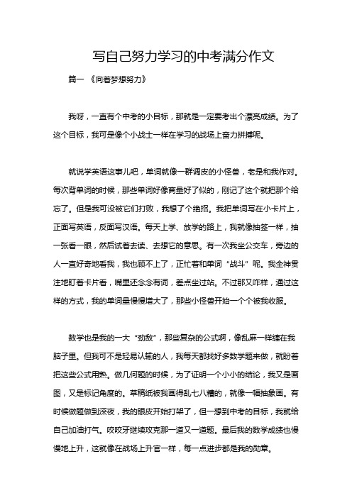 写自己努力学习的中考满分作文