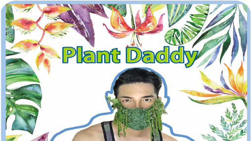 八年级英语早读阅读理解训练 Plant Daddy 课件(共14张PPT)