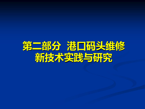 港口检测、维修新技术(第二部分)