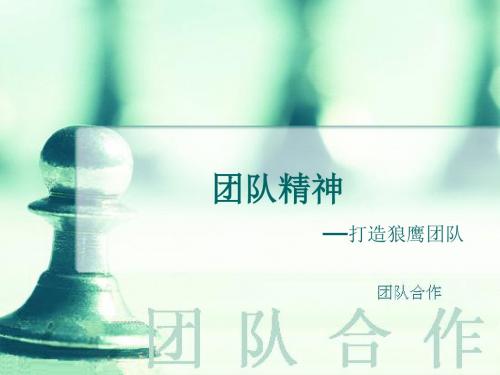 团队精神之打造狼鹰团队(PPT 31张)