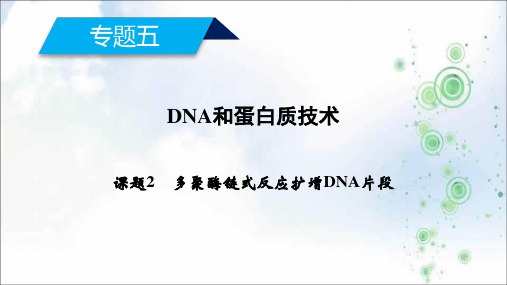 2019学年人教版生物选修一同步配套课件：专题五 DNA和蛋白质技术 课题2