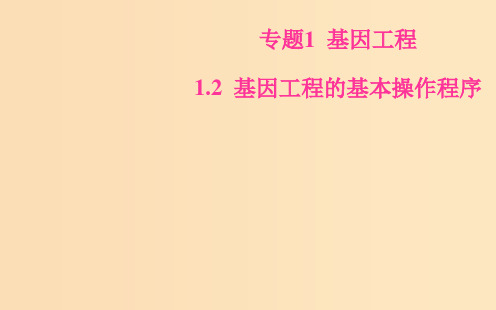 高中生物 专题1 基因工程 1.2 基因工程的基本操作程序 新人教版选修3