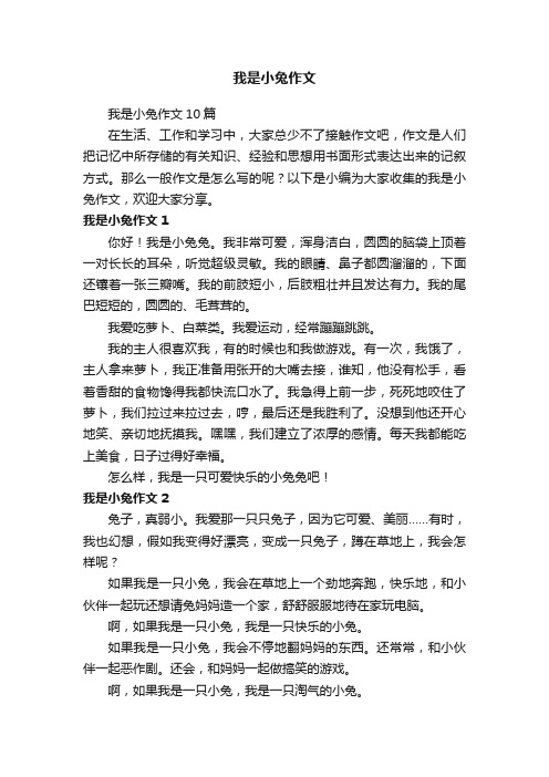 我是小兔作文10篇