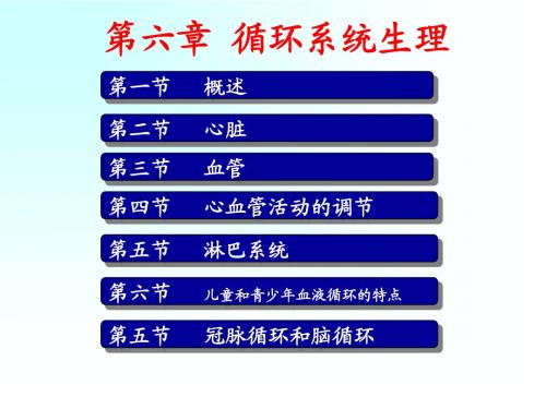 第六章 循环系统生理.ppt