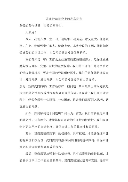 在审计动员会上的表态发言