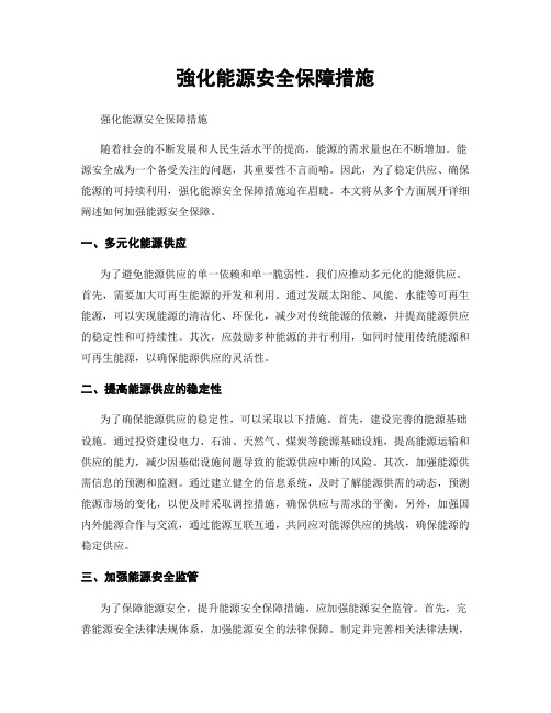 强化能源安全保障措施