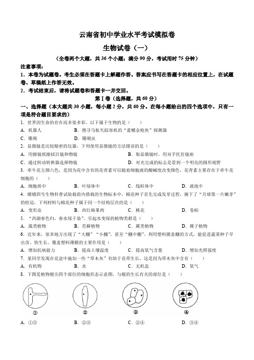 云南省昭通市巧家县大寨中学2023-2024学年八年级下学期4月月考生物试题(word版 含答案)