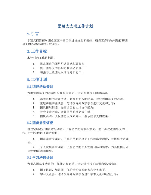 团总支支书工作计划