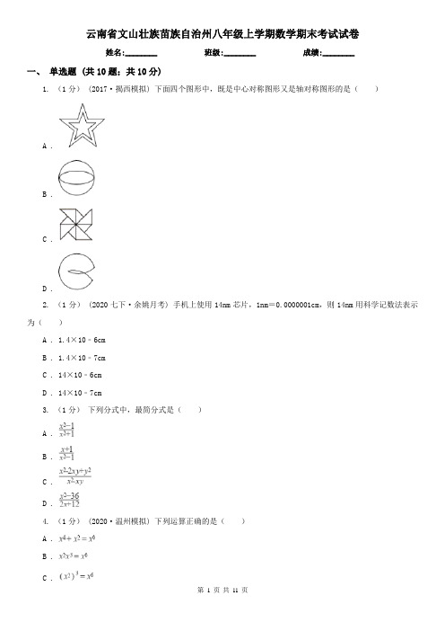 云南省文山壮族苗族自治州八年级上学期数学期末考试试卷