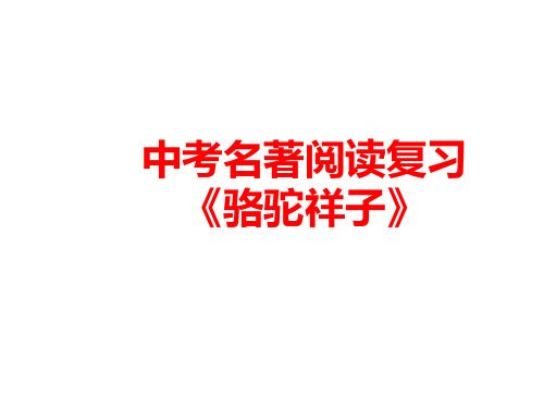 中考名著阅读复习课件_名著导读《骆驼祥子》(共28张PPT)