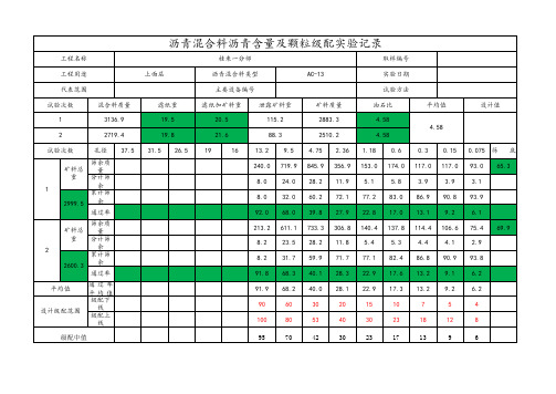 马歇尔试验记录