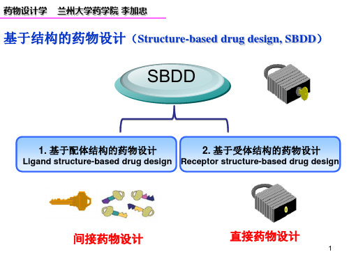 药物设计学 第五讲QSAR