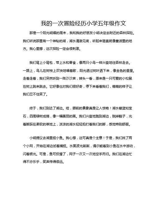 我的一次冒险经历小学五年级作文