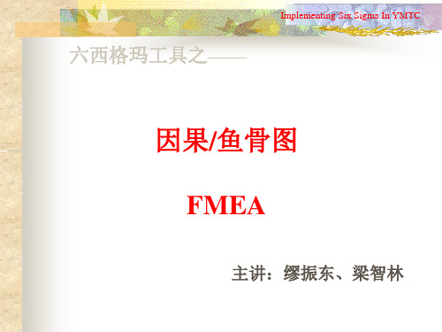 FMEA因果、鱼骨图讲座.pptx