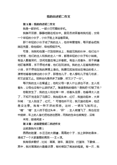 我的自述初二作文