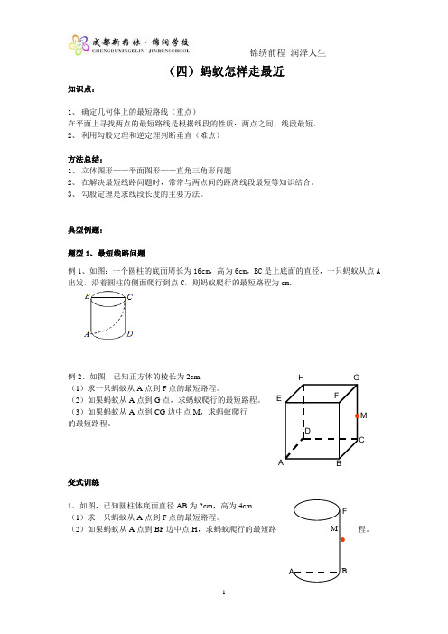 蚂蚁怎样走最近 教案