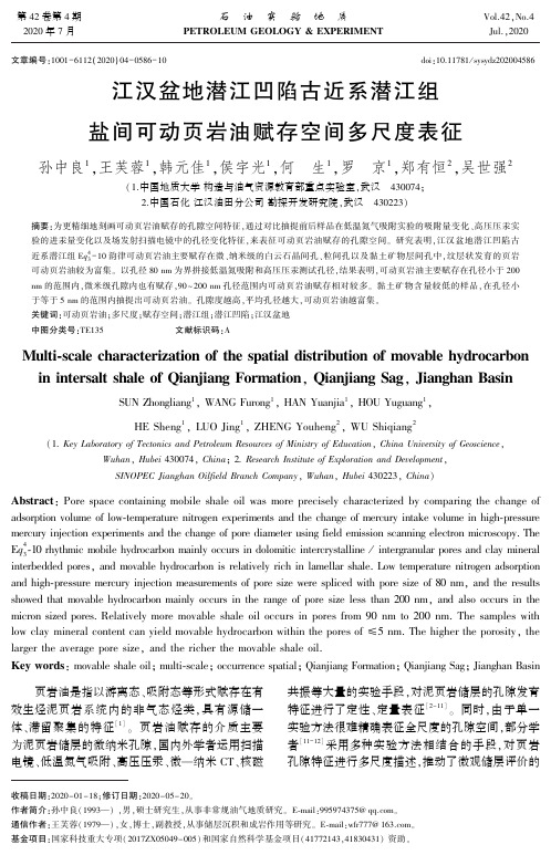 江汉盆地潜江凹陷古近系潜江组盐间可动页岩油赋存空间多尺度表征