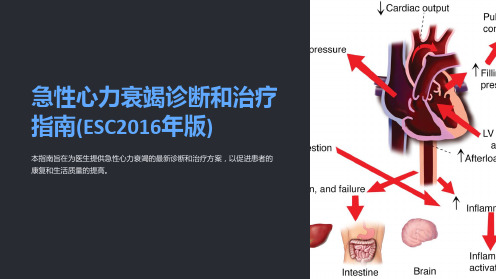 急性心力衰竭诊断和治疗指南(ESC2016年版)
