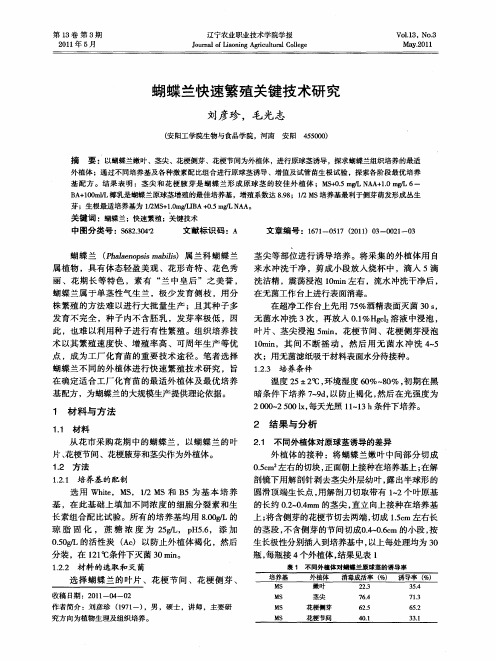 蝴蝶兰快速繁殖关键技术研究