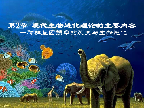 生物进化(经典课件 高中生物必修二)