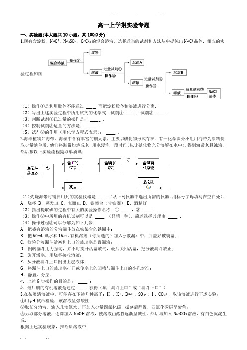 高中一年级化学人教版上学期实验专题