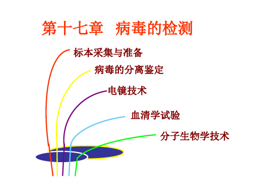 兽医微生物学-病毒的检测