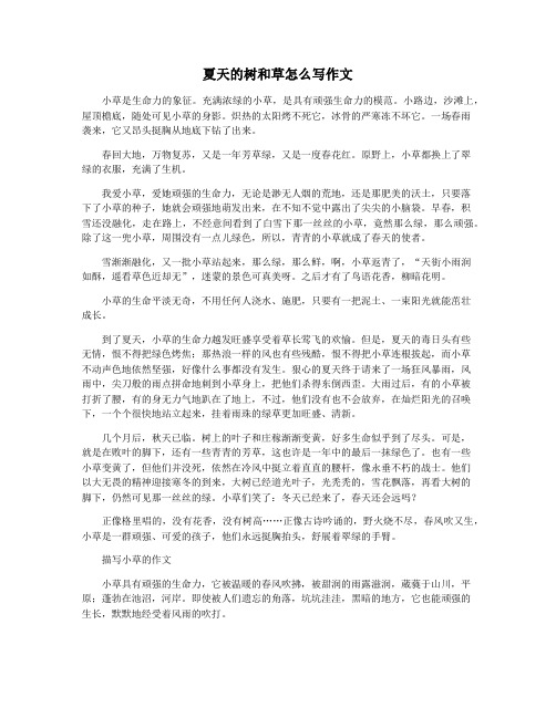 夏天的树和草怎么写作文