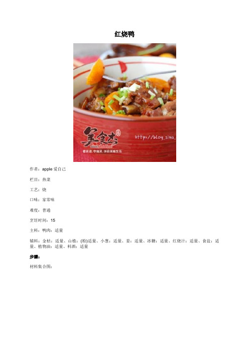 红烧鸭 - 美食杰