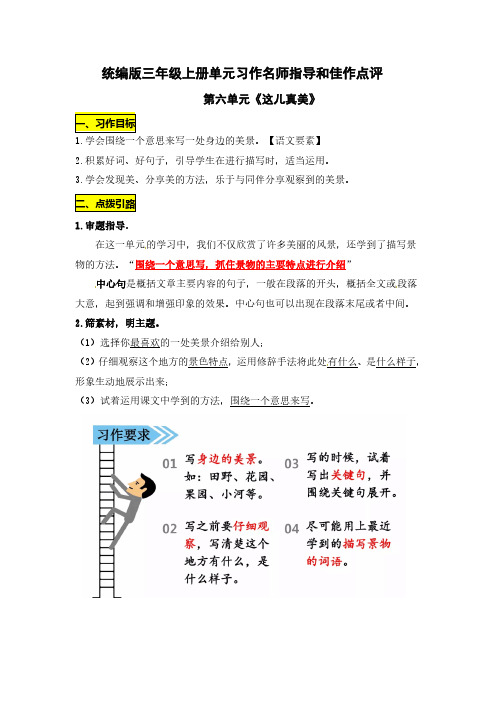 统编版三年级语文上册第六单元《这儿真美》习作名师指导和佳作点评(10篇)