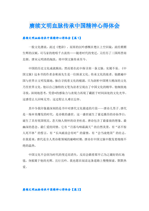 赓续文明血脉传承中国精神心得体会