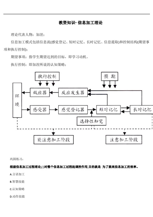 教资知识-信息加工理论