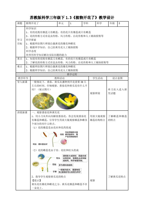 新苏教版科学三年级下册1.3《植物开花了》优质教案