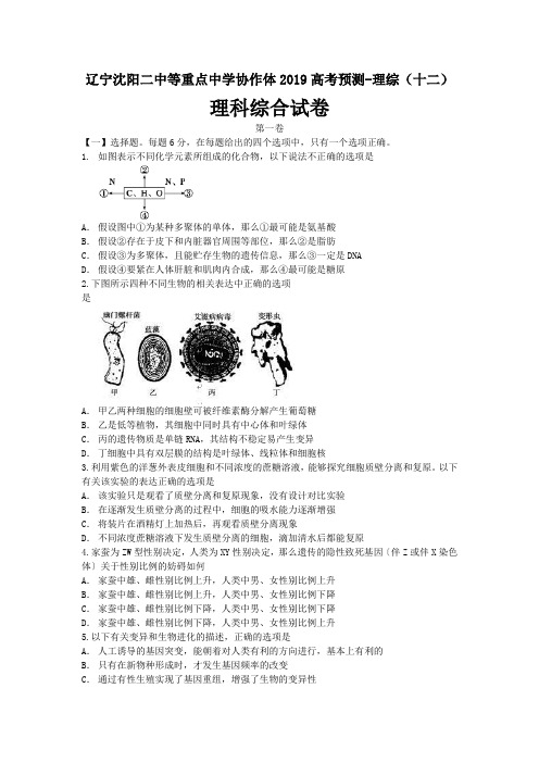 辽宁沈阳二中等重点中学协作体2019高考预测-理综(十二)